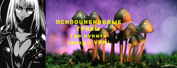 не бодяженный Магас